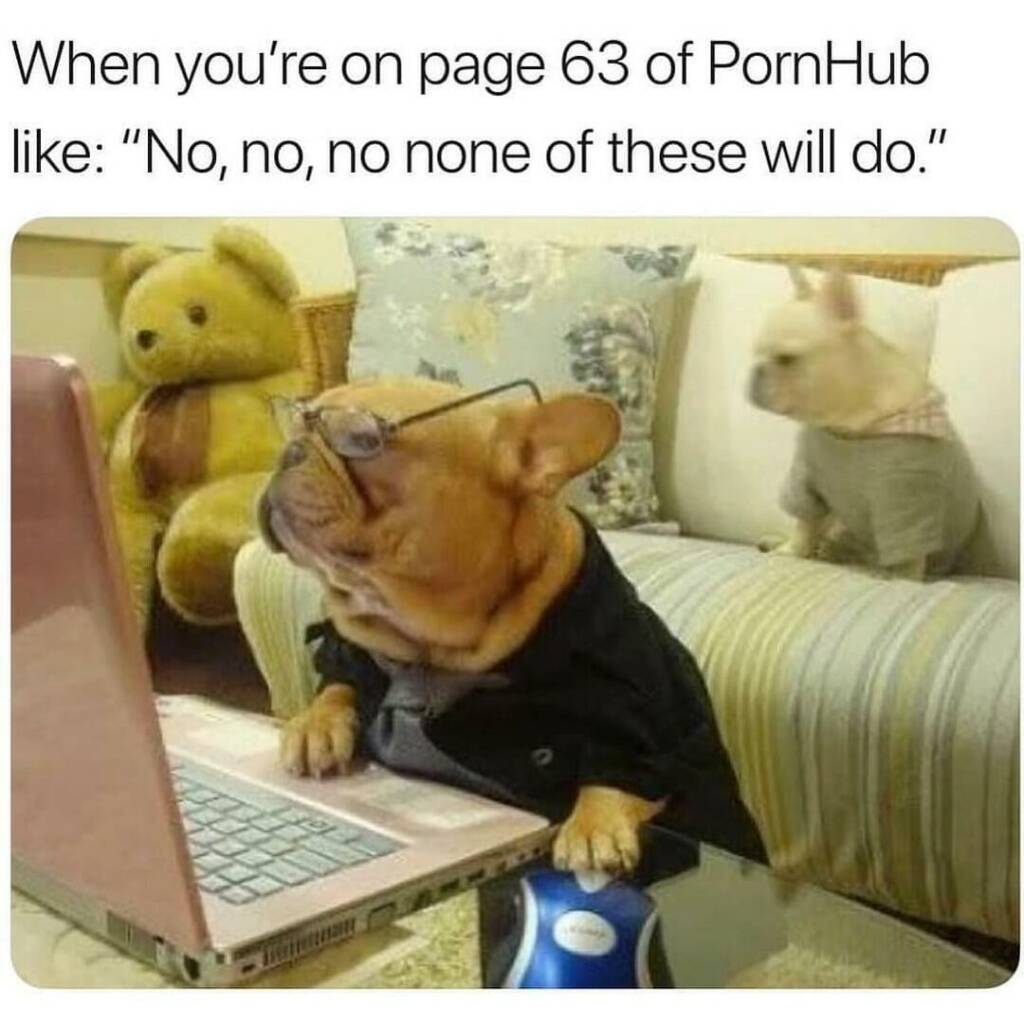 When you're on page 63 of PornHub like "No, no, no, none of these will do."