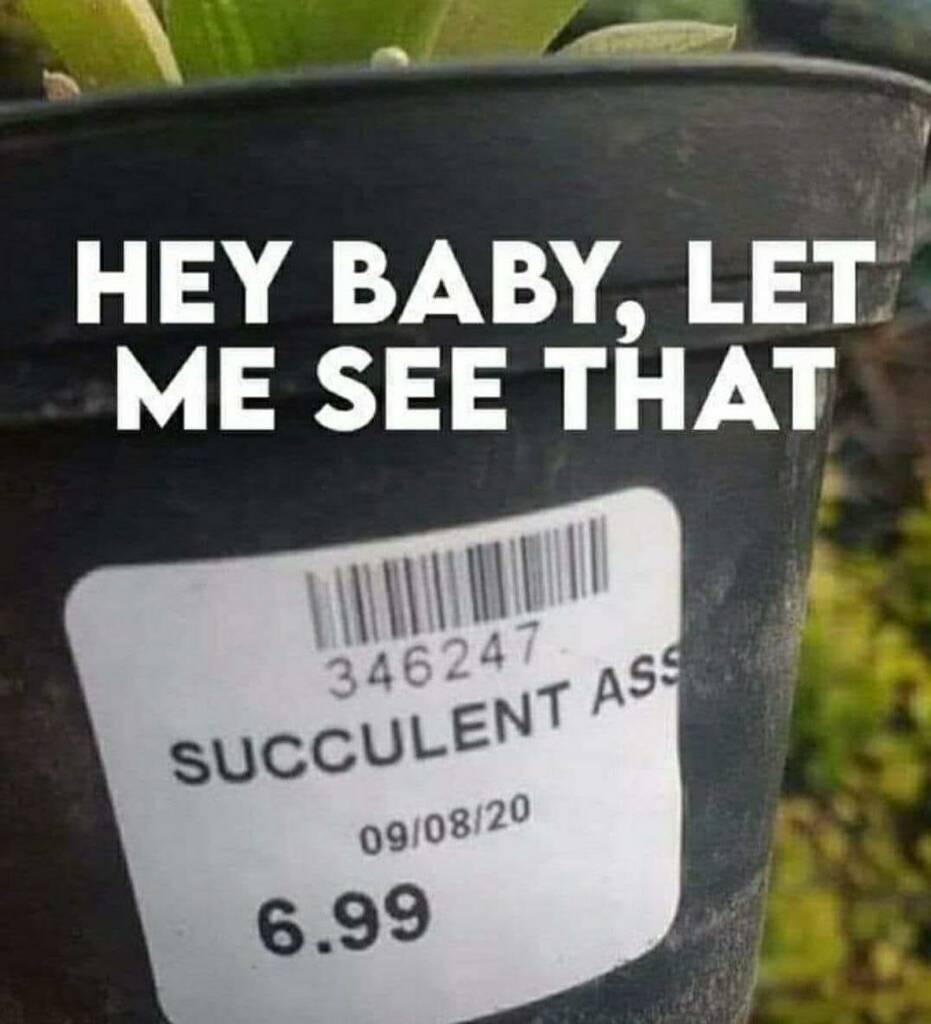 Hey baby, let me see that succulent ass
